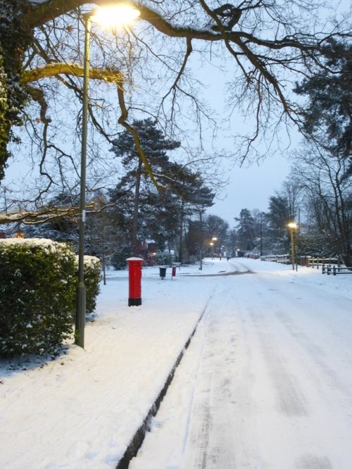 All quiet at Spring Grove.