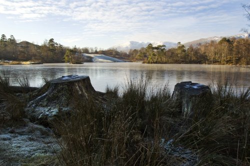 Tarn Hows 12