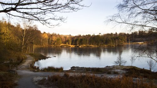 Tarn Hows 24