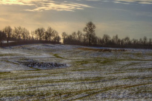 Sheep Field, Thornborough, Bucks
