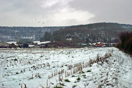 Stour Valley Winter, Shillingstone.