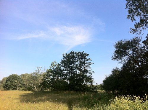 Lugg Meadows, Hereford