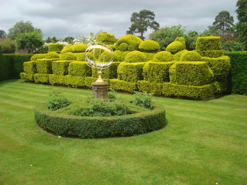 Golden Yew Chess Set in the Tudor Garden