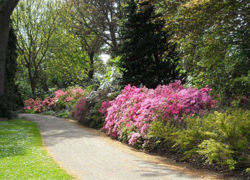 Sandringham spring