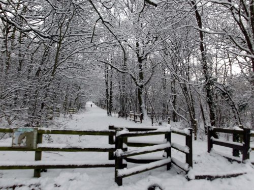 Havering Country Park, Romford