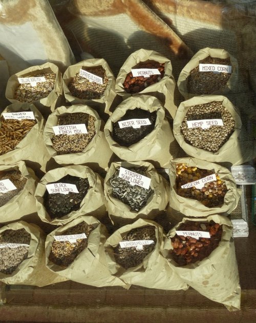 The animals around here get a better choice than we do.