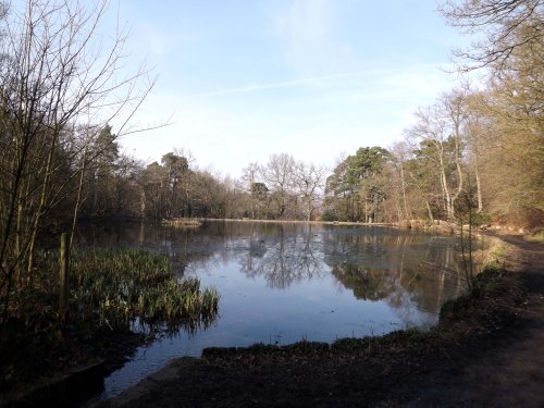 Keston Lakes, Keston