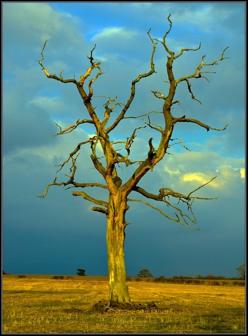 On it's way and time to get home.