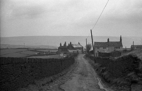Hill Top Cottages and Farm