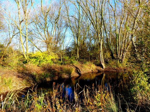 Watermead Country Park
