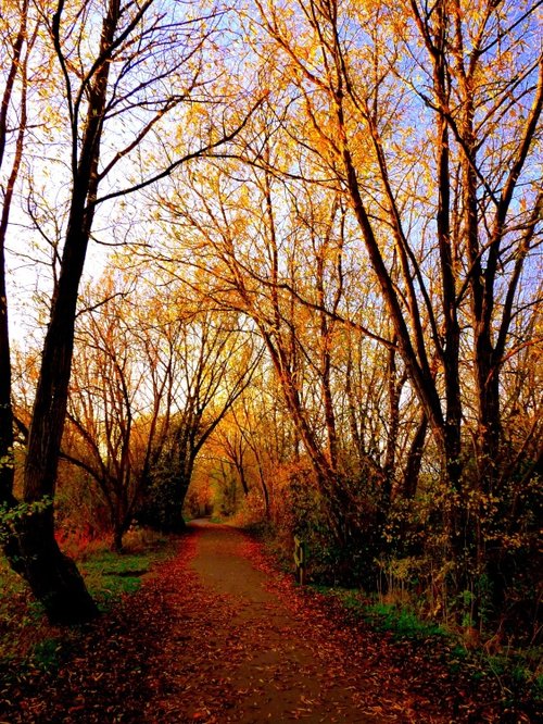 Watermead Country Park