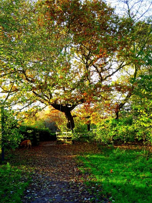 Watermead Country Park