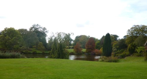 The pond