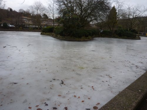 Frozen Pond