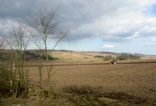 Farmland