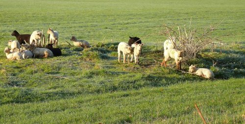 Come on you lazy lot !