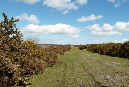 Sampford Moor