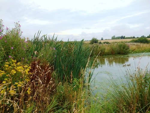 Twycross Zoo, Wetlands
