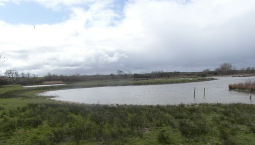 Filey Dams Nature Reserve, North Yorkshire