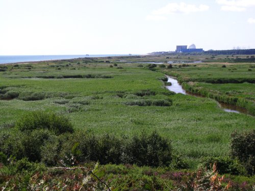 Standing on Dunwich Heath