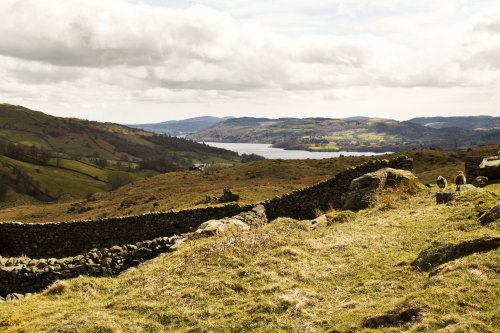 Windermere and fells