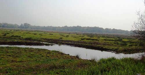 The Broads at Horsey