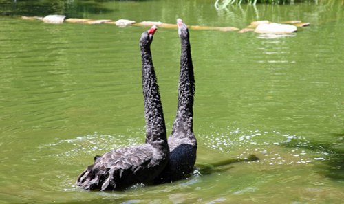 Marwell Zoological Park
