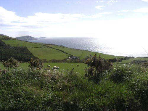 A Manx Island view