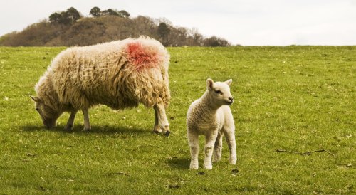Derwentwater mother and child