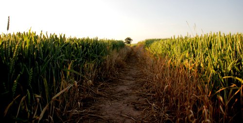 Walkway through Atherstone