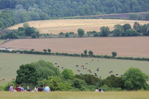 A picnic on Box Hill