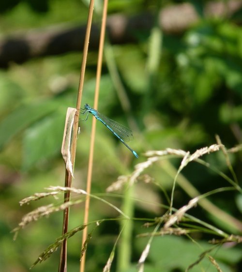 Another of those flying machines.