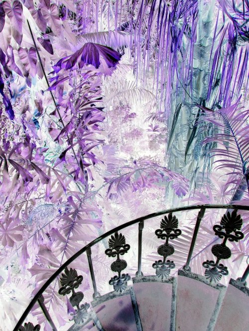 Tweaking the colours at Kew can be fun