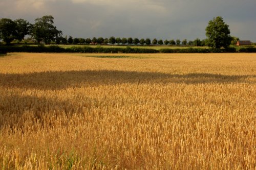 Storms over Atherstone