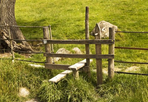 Dog friendly stile Loughrigg Tarn