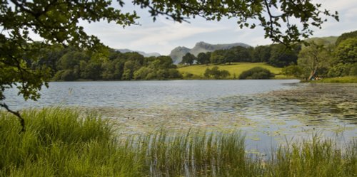 Loughrigg Tarn and Pikes