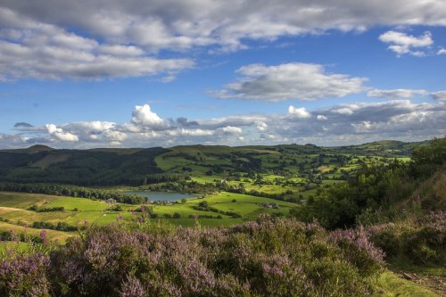 View from Tegg Nose looking East
