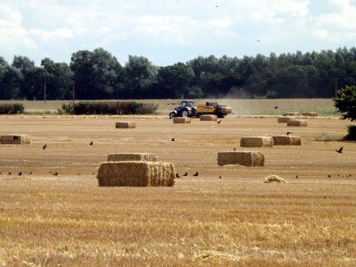 Little Baddow, Essex