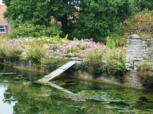 Mill Pond, Swanage