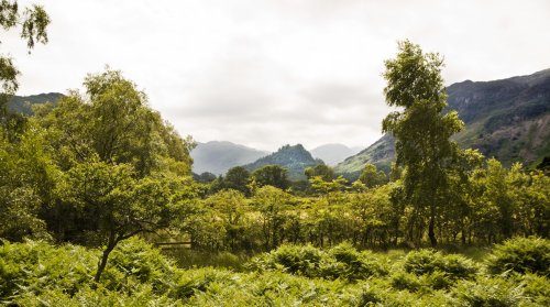 Into Borrowdale from Derwentwater