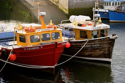 Pleasure Boats, Seahouses