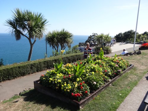 Babbacombe Downs