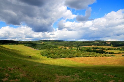 Kielder Landscape