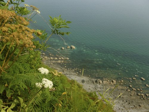 Devon Coast near Clovelly