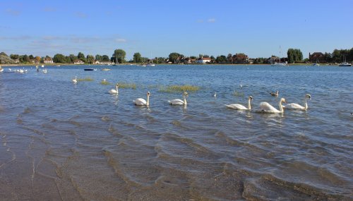 Form an orderly queue please