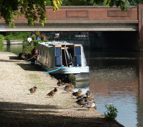 Waiting for the next boat to come along