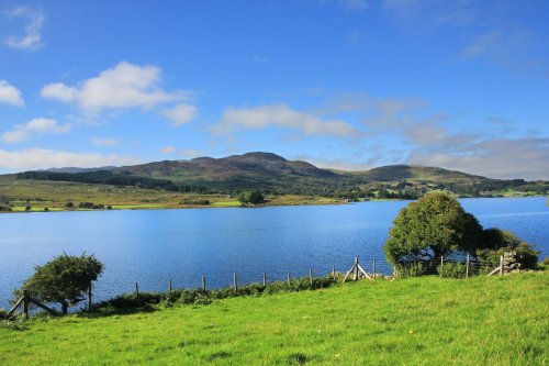 Llyn Trawsfyndd
