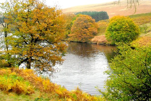 Errwood Reservoir