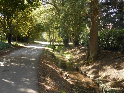 Country lane, Draycote