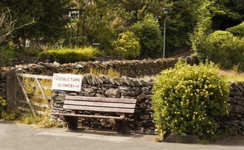 Grasmere options
